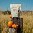 Pumpkin Pie Protein Powder, Grass-Fed Whey Protein Powder with 12g Plant-Based Protein & 3g Prebiotic Fiber, Made with Real Pumpkins & Organic Cinnamon, Non-GMO, Gluten Free, 0.79lb (EXP 10/31/27)