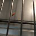 Beelicious 32QT Extra Large Air Fryer, 19-In-1 Air Fryer Toaster Oven Combo with Rotisserie and Dehydrator, Digital Convection Oven Countertop Airfryer Fit 13" Pizza, 6 Accessories, 1800w, Black