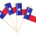 2 x QQSD Texas Toothpick Flag Small Mini Texas Cupcake Topper Flags, 100 pcs