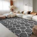 Area Rug for Living Room Bedroom, 5X7 Feet Soft Shaggy Rug, Plush Fluffy Rugs, Modern Moroccan Geometric Carpets, Anti-Skid Durable Carpet for Kids Dorm Nursery, Dark Grey and White