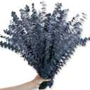 26Pcs Real Dried Eucalyptus Stems, 17" Blue-Green Preserved Eucalyptus Stems for Vase, Home Decor, Farmhouse, Dried Flowers Table Centerpiece Arrangement