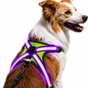 Light Up Dog Harness Type-C Rechargeable LED Dog Harness with RGB Multi-Colour Lighting Mode & 500mAh Battery, 500m Visible Waterproof Glow in The Dark Safety Vest for Night Walking, Avoid Accident S