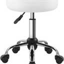 White Classic Swivel Stool with Wheel for Salon Work Home SPA Shop Height-Adjustable and Cost-Effective Rolling Stool Chair Small