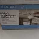 42-in Flush Mounted Ceiling Fan