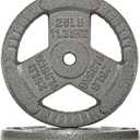 Fitvids Cast Iron 1-Inch Standard Weight Plate for Strength Training & Weightlifting, 25LBx 2