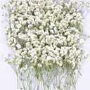 100Pcs White Babys Breath Dried Pressed Flowers for Crafts,Xinxinran Dry Flower Kit for Wedding Invitation Accessories,Bookmark,Jewelry Molds,Candle Making Supplies, Soap, Frame, Cakes