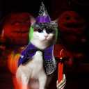 BESPORTBLE 1 Set Halloween Cat Costume Cat Cloak Hat Dog Halloween Costume Costumes for s Puppy Pet