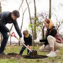 32.5 Inch Non-Woven Tree Mulch Ring,Reusable Tree Weed Barrier Mat,Degradable Tree Mulch Used to inhibit Weed Growth and Landscape Weed Control Plant Root Protection (4 Pack)