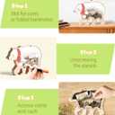 Wooden Bear Piggy Bank for Kids, Polar Bear Piggy Bank with Acrylic Panels, Unbreakable Toddler Money Box for Boys Girls, Cute Saving Coin Jar for Home Dcor, Birthday, Easter Gifts for Kids (Large)