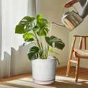Eightpot Plant Saucer for Indoors - Ceramic Plant Saucer for Outdoors 11.4 Inch Plant Water Catcher Tray Plant Pot Saucer Plant Drip Tray Drainage Large Plant Plates to Catch Water, Cream White