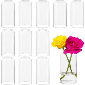 12pcs Glass Bud Vases - 5 Inch Tall Clear Flower Vases for Centerpieces, Glass Vase Modern Bud Vase for Wedding Party Dining Table Centerpieces, Living Room Decorative, Home Decor