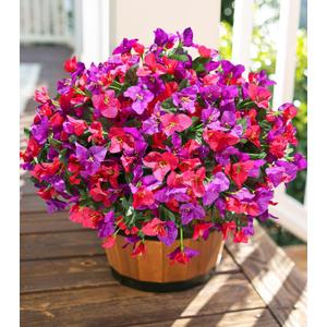 2 x Ivydale Artificial Flowers for Outdoors Fake Bougainvillea Spring Summer Outside Decor, 4 Bundles UV Resistant Faux Flowers for Outdoor Planters Realistic Silk Plants Patio Porch Window Garden Home