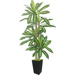 Artificial Dracaena Plant 6ft, Faux Tree with Black Tall Planter, Fake Yucca Silk Plants, Artificial Floor Trees for Home Office Room Decor Housewarming Gift Indoor