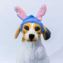 2 x Blue Ears Headband for Dogs, Cute Halloween Headwear Headpiece Hat Pet Costume Accessories Party Supplies (Small)