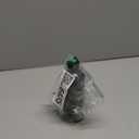 FLEISHER'S Ceramic Coating Spray - for Home Surfaces - Hydrophobic Nano Technology, Shine and Protect Kitchen and Bathroom Surfaces, Repel Stains and Grime, House Ceramic Spray