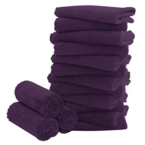 16 Pack Baby Washcloths - Luxury Coral Fleece - Extra Absorbent and Soft Wash Clothes for Newborns, Infants and Toddlers - Suitable for Sensitive Skin and New Born - Baby Shower - Plum, 10x10 Inch