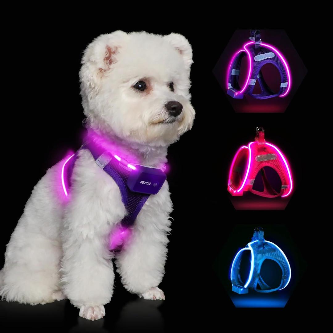 Light Up Dog Harness, Rechargeable LED Dog Harness for Small Medium Large Dogs, Reflective Lighted Safety Vest for Night Walking & Camping, Lightweight & Adjustable, Purple, M