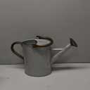 1 Gallon Metal Watering Can with Removable Spout, Nice Galvanized Steel Water Can with Embossed Design for Indoor and Outdoor Plants