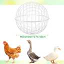 Leinuosen 4 Pack Chicken Ball Cage Movable Mesh Rabbit Coops Plastic Detachable Rolling Safety Hutch Prevents Dog Bites Horse Trampling for Bird Duck Outdoor(White,15.75'',Classic Style)