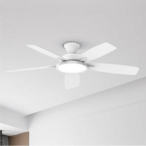 TALOYA 52 inch Ceiling Fans with Lights,Remote Control Multifunctional Quiet Fan with Three Color Temperature and Dimmable Light with Reversible Blades White