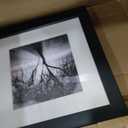 Framed Wall Art - Moises Levy 'Lightning Tree I' Wall Decor with Matted Frame by Trademark Fine Art, 11"L x 11"W