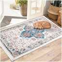 KGAUT 2x3 Entryway Rug Machine Washable Area Rugs Soft Small Indoor Door Mat Boho Rug Vintage Non Slip Foldable Carpet for Entrance Living Room Bedroom