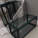 Qualirey 4 Pcs Rat Trap Live Animal Cage for Squirrel Chipmunk Mouse,Green