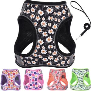 Small Dog Harness and Leash Set, Step in Dog Harness No Pull for Walking Running Training, Puppy Essentials for Dogs Cat Bunny, Adjustable Reflective Dog Vest Harness. (Black, M)