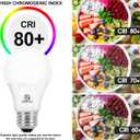 Energetic 24 Pack LED Light Bulbs 60 Watt Equivalent, A19 Warm White 3000K, E26 Base, Non-Dimmable, 8W 760lm, ETL Listed