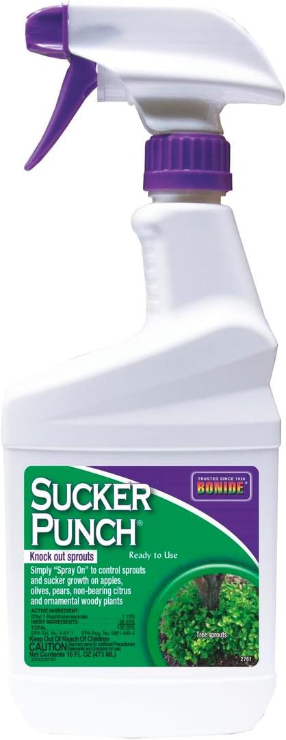 Bonide Sucker Punch, 16 oz Ready-to-Use Spray, Control Unwanted Plant Sprouts, Plant Growth Regulator for Home Garden