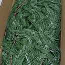 Hananona 2 Pcs 6 Ft Artificial Norfolk Pine Garlands, Real Touch Winter Pine Garland, Green Artificial Greenery Garland for Table, Mantle, Wall, Indoor, Outdoor Christmas Decorations (2, 6 FT)