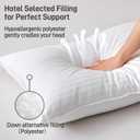 Hypoallergenic Cotton Cover with Down Alternative Filling, Standard/Queen Size Set of 2 Soft Pillow, Luxury Hotel Quality, Ideal for Side, Back and Stomach Sleepers, Oeko-TEX Certified