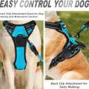BARKBAY No Pull Dog Harness Front Clip Heavy Duty Reflective Easy Control Handle for Dog Walking (Blue,L)