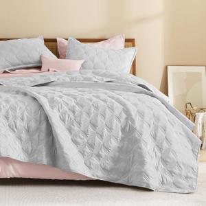 Litanika Queen Quilt Bedding Set, Light Grey Summer Lightweight Soft Comforter Bedspreads & Coverlets, Boho Farmhouse Bedding Cover Bed Decor All Season, 3 Pieces (1 Quilt, 2 Pillowcases)