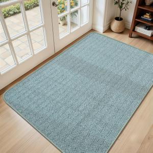 Ultra Thin Door Mat Indoor Entrance 36"x59", Low-Profile Indoor Door Mat, Non Slip Entry Mats Rubber Backing Unique Herringbone Design Inside Doormat Dirt Trapper Entryway Mats, Light Green