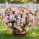 Artificial Flowers for Outdoor Fake Plants for Spring Decoration,Faux Eucalyptus Flowers for Planter UV Resistant Lifelike for Home Porch Garden (White/Pink)