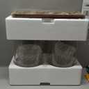 2 PCS 1.5 Gallon Drink dispenser, Glass Beverage Dispenser With Wood Stand, Large Water Drink Dispensers for Parties With Stainless Steel Spigot, Ideal for Lemonade,Juice, Tea, and Party Drinks