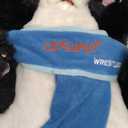Cat Wrestling Glove Puppet  Interactive Hand Mitt with Durable Protective Sleeve and Catnip - Play & Enrichment