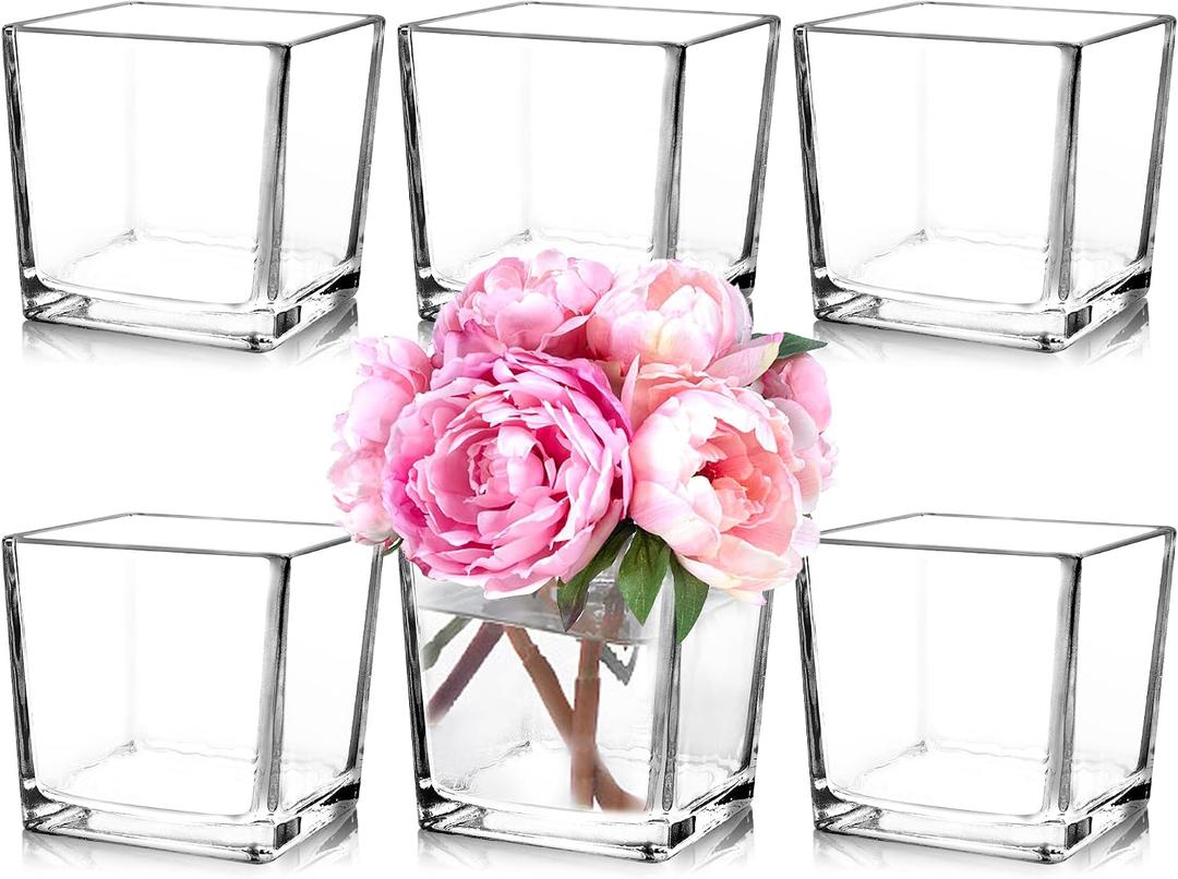 Set of 6 Square Glass Vases 5" x5" x 5", Clear Flower Vases for Centerpieces, Candle Holder for Wedding Party Events, Home Dcor