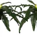 2 Pack Artificial Plants Outdoor with Solar Lights, 27" Large Prelit Boston Ferns with Spike Pathway Light, Realistic Fake Ferns for Yard Patio Garden Walkway Sidewalks Landscape Decor