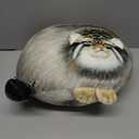 Pallas Cat Stuffed Animal, 45cm/18inch Steppe Cat Plush Cute Plushies for Girls,Kitten Soft Plush Throw Pillow Doll Big Plush Toy Decoration Doll Gift for Kids, Boys, Girls Birthday Christmas