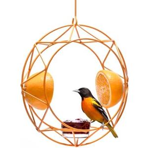 MEKKAPRO Sun Baltimore Oriole Feeder for Outdoors, Jelly and Orange Metal Bird Feeder, Unique Sun Design and Bright Color Oriole Bird Feeder, Open Top Hook, UV-Resistant Powder-Coated Steel (Single)