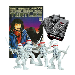 Teenage Mutant Ninja Turles Comics figurines