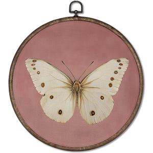 GWFSJYU Vintage Pink Butterfly Framed Wall Art, Coquette Moody Butterfly Round Canvas Prints Wall Art, Antique Butterflies Moth Hanging Decor for Bedroom Living Dorm Girls Room, 10x10inch