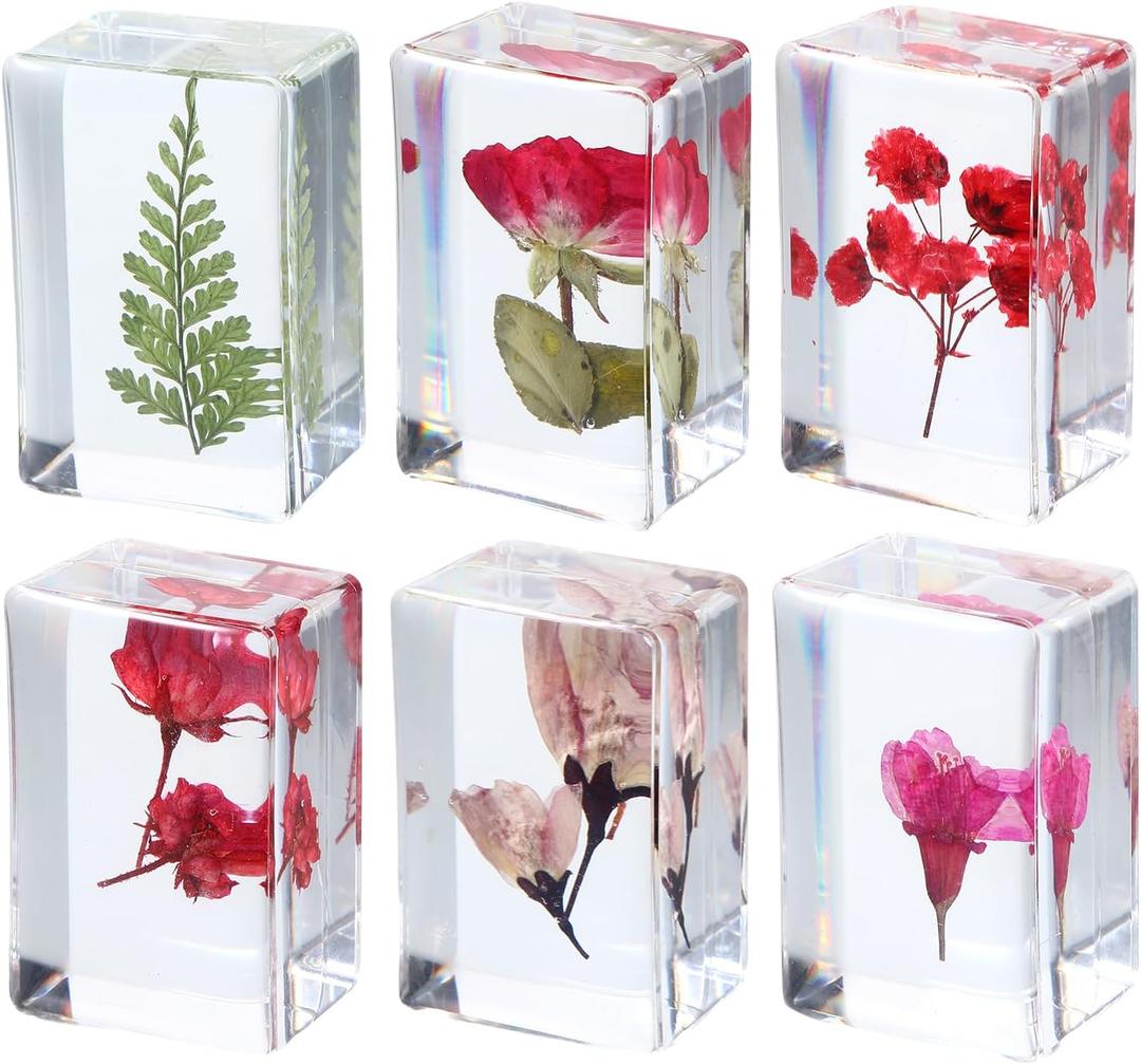 6 Pcs Pressed Flower Paperweight, Dried Flower Paperweight, Paper Weights Decorative for Office Desk, Desktop Decorations, Resin Crafts, Can be Used as Gifts(Rectangular) (Red)