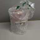 Ochine Food Storage Container with Lid, Plastic Storage Canisters for Kitchen & Pantry Organization, Dry Food Canisters Organization Bin for Oatmeal, Grain, Cereal, Pasta, Flour