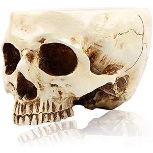 RMM Halloween Decoration Retro Human Skull Head Flower Pot Planter Bed Box Container Replica Home Bar Décor, Clear 2 PACKS