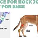 Dog Leg Brace for Rear Hock Joint, Compression Wrap Strong Support Back Leg for Canine Torn Acl & Ccl, Hind Ankle Injury and Sprain Heals, Keeps Warm and Stability for Arthritis (M) (Black)