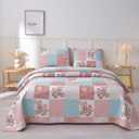 Queen Quilt Set 3 Piece Quilted Bedspread Lightweight Coverlet SetFloral Printed Quilted Bedding Set for All Season, Exquisite,Pink
