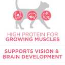 Purina ONE High Protein, Natural Dry Kitten Food, +Plus Healthy Kitten Formula - 7 lb. Bag (EXP 02/22/27)